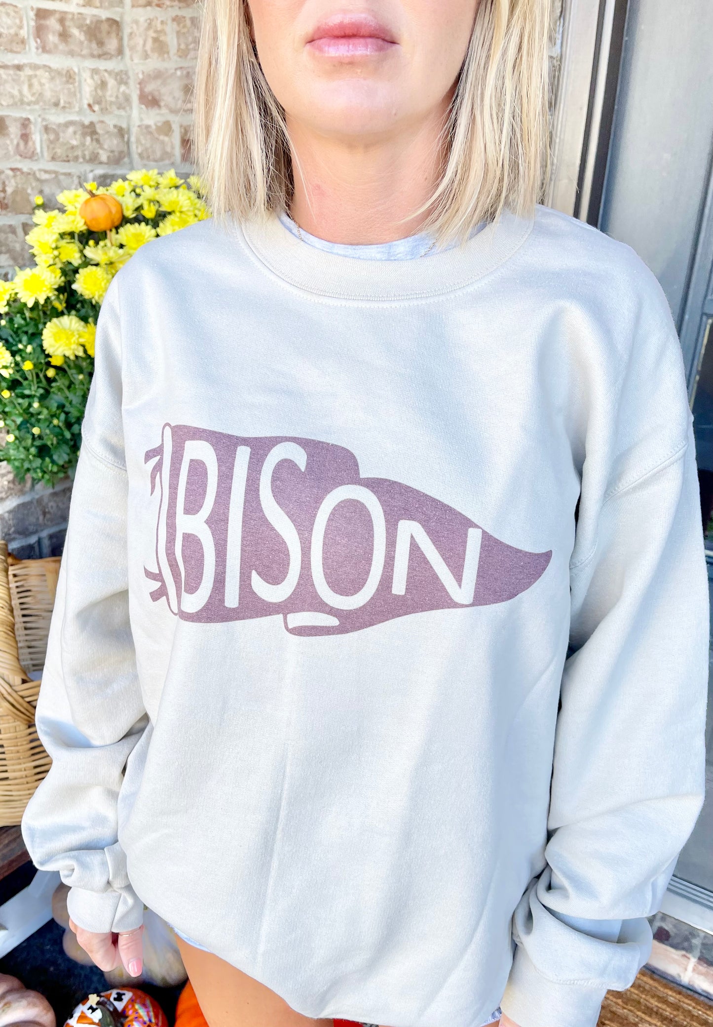 Bison Pennant Sweatshirt